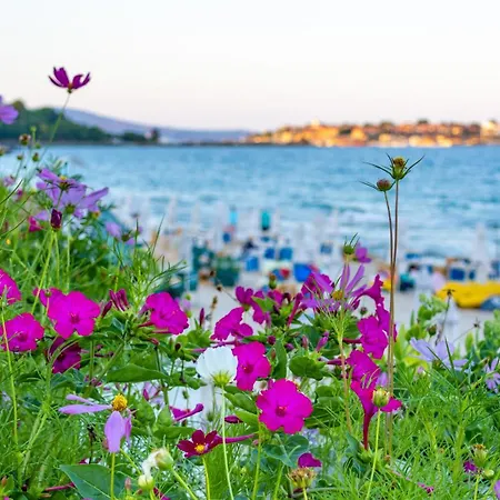 Apartamento Perla Nesebar