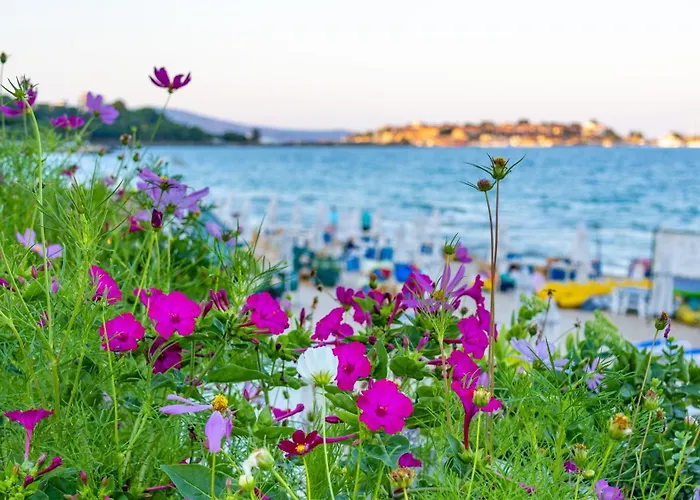 Appartamento Perla Nesebar